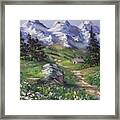 Alpine Splendor Framed Print