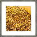 Amber Ice Abstract Framed Print