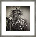 American Eagle Monochrome Framed Print