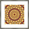 American Flag And Fireworks Kaleidoscope Abstract 4 Framed Print
