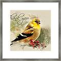 American Goldfinch Thank You Card Framed Print