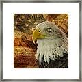 American Icons Framed Print