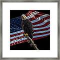 America's Eagle Framed Print