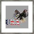 Americ's Eagle Framed Print