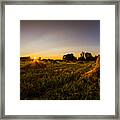 Amish Harvest Framed Print