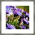 Among The Flowers Framed Print