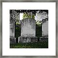 Among The Tombstones Framed Print