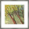 An Afternoon At The Park Framed Print