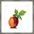 An Apple A Day Framed Print