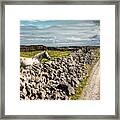 An Aran Horse Framed Print