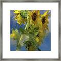 An Impression Of Sunflowers In The Sun Framed Print