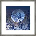 And Now Its Time To Say Goodnight Framed Print