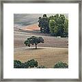 Andalusian Meadows 1 Framed Print