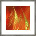 Andee Design Abstract 42 2017 Framed Print