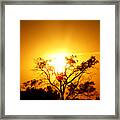 Angel Light Framed Print