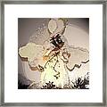 Angel With Drum Framed Print