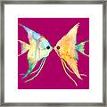 Angelfish Kissing Framed Print