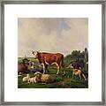Animals Grazing In A Meadow Framed Print