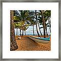 Another Day In Paradise Framed Print