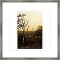 Another Morning

#autumn #morning Framed Print