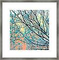 Anticipating More Good Feelings Of Warmth Framed Print