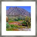 Anza-borrego Desert State Park Ca Framed Print
