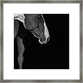Apache In Black And White - Three Bars Ranch Framed Print