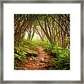 Appalachian Hiking Trail - Blue Ridge Mountains Forest Fog Nature Landscape Framed Print