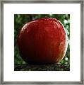 Apple  Two Framed Print