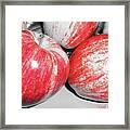 Apples Framed Print