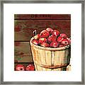 Apples For Sale Framed Print
