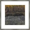 Approach To The Ruins Original Painting Framed Print