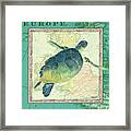 Aqua Maritime Sea Turtle Framed Print