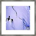 Arctic Fastness Framed Print