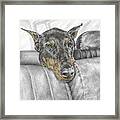 Are We There Yet - Doberman Pinscher Dog Print Color Tinted Framed Print