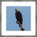 Are You Looking At Me Framed Print
