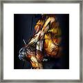 Are You Looking For Me Framed Print