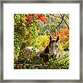 Are You My Friend? Framed Print
