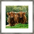 Are You Talking To Us Framed Print