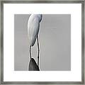 Argent Mirror #2 Framed Print