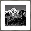 Argentina_1-5 Framed Print