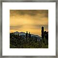 Arizona And The Sonoran Desert Framed Print