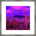Arizona Purple Haze Framed Print