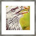 Artistic Akron Eagle Framed Print