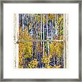 Aspen Tree Magic Cottonwood Pass White Farm House Window Art Framed Print