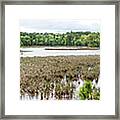Assawoman Wildlife Area, Marsh #05368 Framed Print
