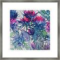 Asters Framed Print