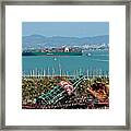 At And T Park Framed Print