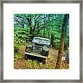 At Home In The Forest Framed Print