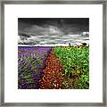 At The Middle Framed Print